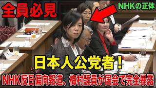 【※参政党 梅村みずほ議員】※これがNHKの正体でした…「日本人が悪者！」反日＆偏向報道を梅村議員が徹底批判…国会が騒然となりました※日本人は全員今すぐ見て【高市早苗　自民党　外国人問題　日本保守党】