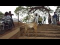 Sambo Siva Sambo Telugu Video Song