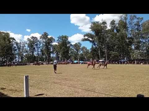 Jineteadas en basto oriental - Festival de Doma y Folklore - Plácido Rosas, Cerro Largo 07/02/2026