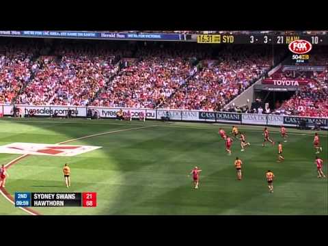 AFL 2014   Grand Final Re Call