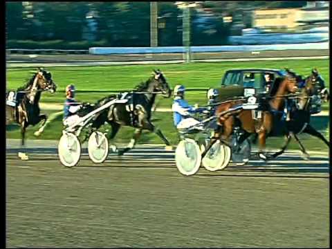 Trotto 08/11/2015 - 4° corsa