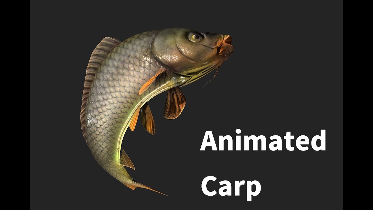 Animated carp fish 3D Model
