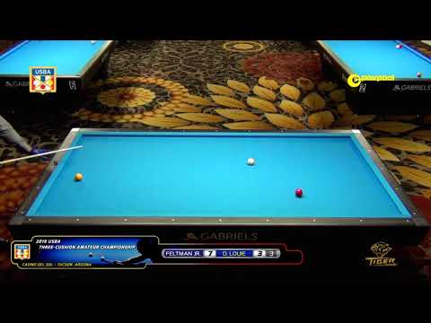 #21 - Dan LOUIE vs Paul FELTMAN Jr. / 2019 USBA 3-Cushion Amateur Championship