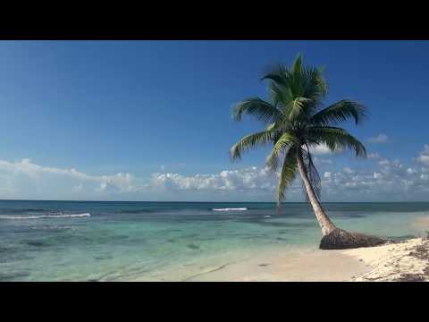 ЗВУКИ МОРЯ; 3 часа Видео Тропический пляж с голубым небом, белым песком и пальмой.