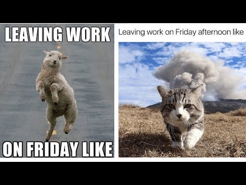 Leave Work Meme