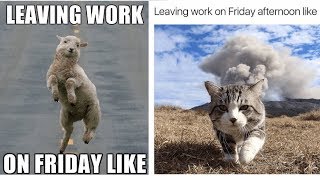 Leaving Work On Friday Meme