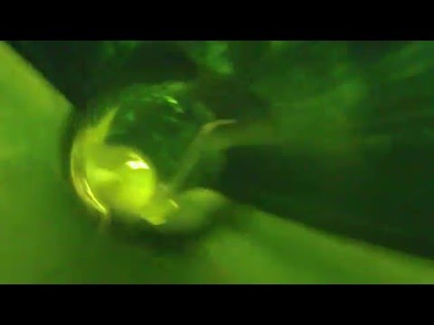 Finja Papa grosse Rutsche