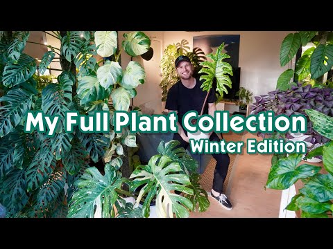 FULL APARTMENT & GARDEN TOUR - have my plants survived winter?!