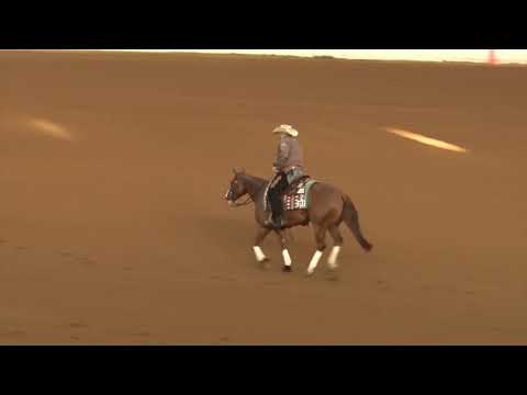 190720 Open Futurity Dany Tremblay on Lil Gun Affair