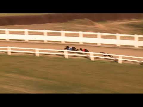 2021.12.04. 05. futam - Mester Tréner Díj