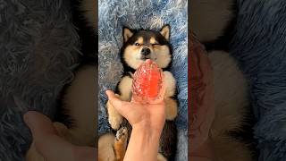 asmr - Manyu immersive SPA care deep brain-tingling relaxation