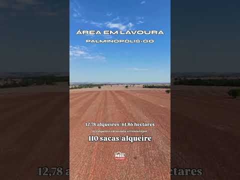 ÁREA AGRÍCOLA EM PALMINÓPOLIS/GO 12,78 alqueires (61,86 ha)  #fazendaavenda #agro