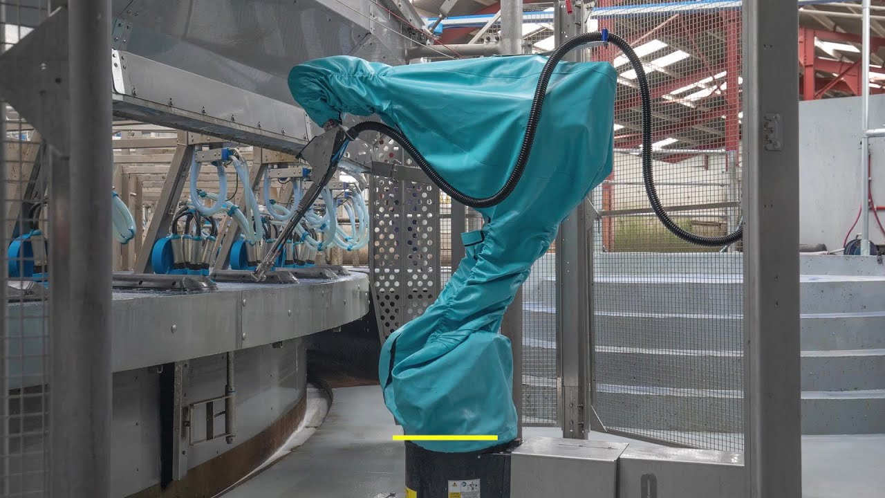 РобоСпрей DairyMaster