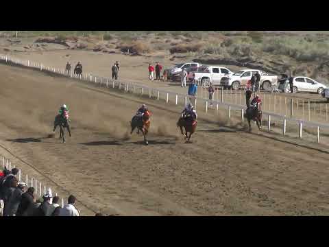 Club Hipico Añelo 31 07 2022 QUINTU DORADA