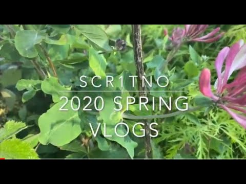 2020 Spring Vlog 1