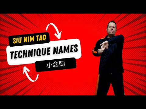 Siu Nim Tao with Technique Names | Wing Tsun Kung Fu
