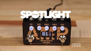 Hotone Binary Amp - What To Know & Where To Buy | Equipboard
