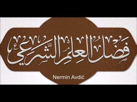 Važnost traženja znanja | Nermin Avdić | 2017.