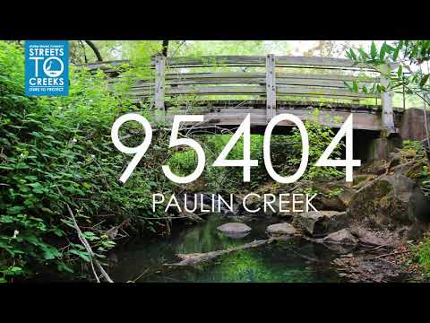 Streets to Creeks 95404 Paulin Creek