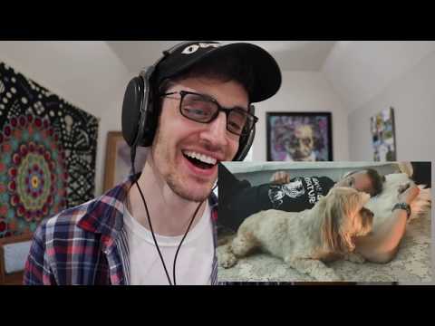 The Most Hardcore Crazy Insane Extreme Metalhead REACTS to EVANESCENCE - "Wasted on You" | REACTION