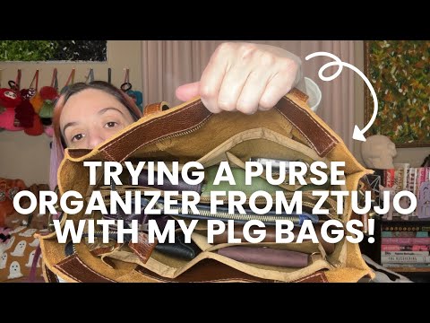 ZTUJO Purse Organizer Insert For Handbags, Silky Touching Bag Organizer Insert With Bottle Holder, Perfect for Speedy, Neverfull, Tote,ONTHEGO,Artsy,Handbag and More (small, Brown polk dots Beige) video review thumbnail