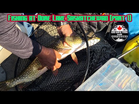 Video Thumbnail for Late Summer Fishing   (Dore Lake Saskatchewan part 1) #fishing #fishingvideo