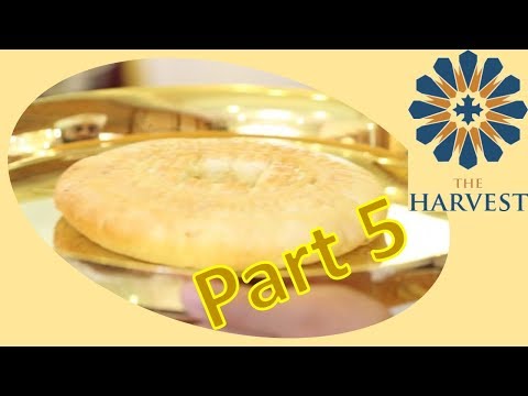 02-10-2019 The Harvest: Liturgy (Liturgy of the Word (Part 1))