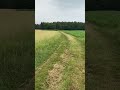 Sibirischer Husky Rennt Geschwindigkeit Hundeliebe Husky Laika Huskylife Siberianhusky