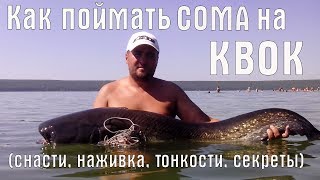 Ссылка