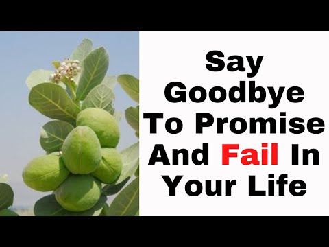 Say Goodbye to Promise and Fail in your Life