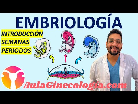 EMBRYOLOGY: FROM CONCEPTION TO BIRTH (With FRANCO KELLY) - Gynecology and Obstetrics -