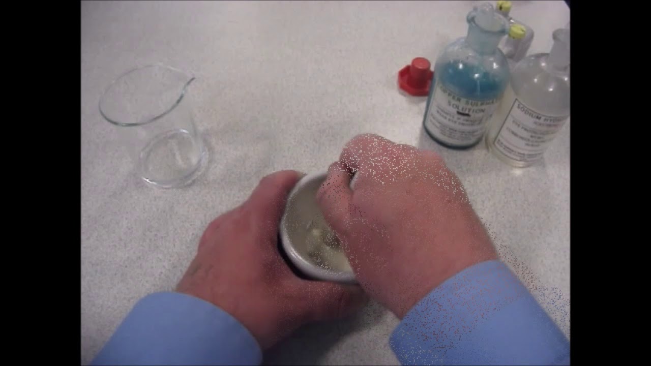 Testing Food for Protein: The Biuret Test