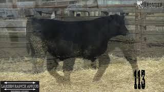 Download lagu Lot 113 mp3 Download lagu Lot 113 mp3