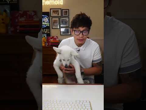 How to Get Better at Having Conversations with Strangers!