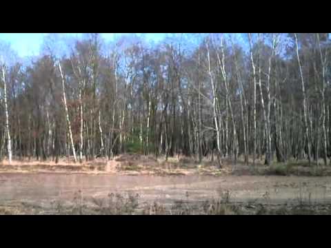 TPz pi Fuchs in aktion!