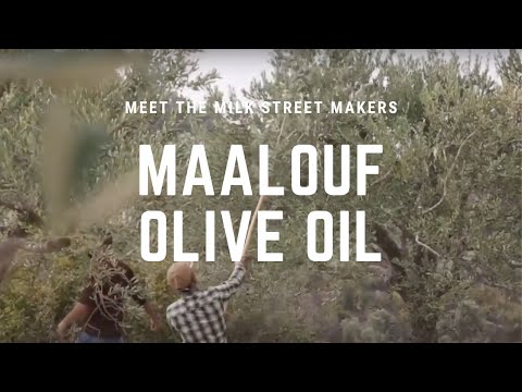 Maalouf Authentic Extra-Virgin Olive Oil
