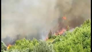 Windiges Wetter führte zu Waldbränden in Euböa