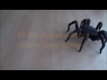 T8X Robotic Spider