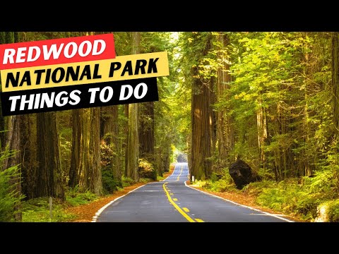 20 AMAZING Things To Do In Redwood National Park | Redwood National and State Parks Travel Guide
