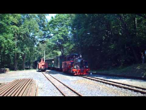 Lok Aquarius C Einfahrt Bahnhof Seifersdorf. 19.07.2014