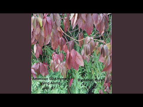 Nature With Open Volume Stands.