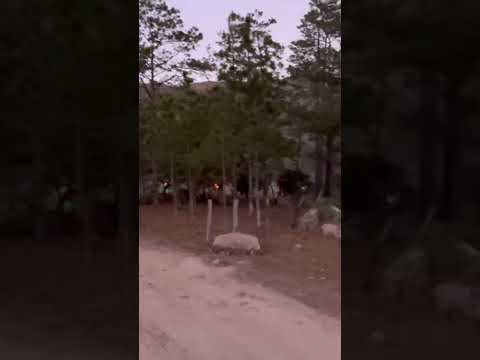 La Estanzuela márcala La Paz Honduras