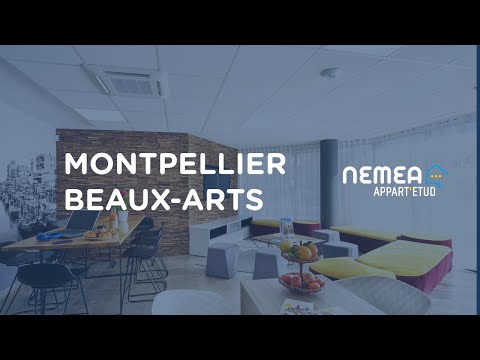 Résidence étudiante Nemea Montpellier Beaux Arts Miniature vidéo YouTube 15