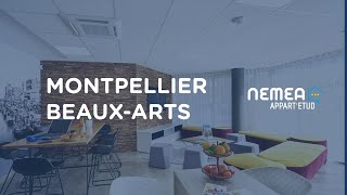 Miniature de la vidéo