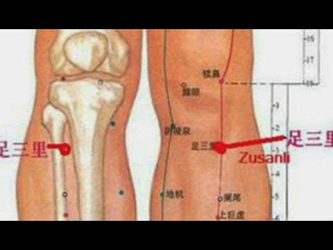 Penis kecil pada manusia Bagaimana meningkatkan saat ini anggota