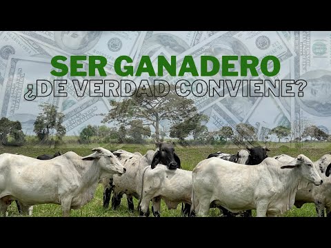 Livestock Raising Costs: The Truth Before You Invest 🧾🐄💸