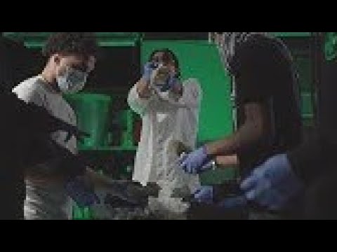 Punchmade Dev - Bandemic [REUPLOAD]