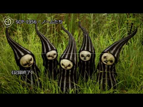 【怪異0028】SCP 1956 ノームたち