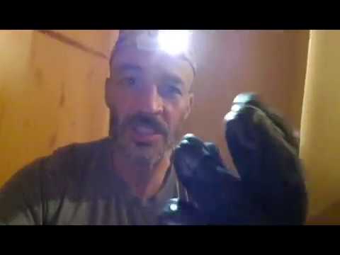 Denevér kíméletes kitessékelése magánlakásból - Tutorial