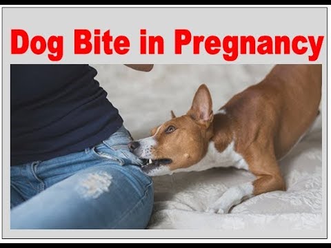 Dog Bite in Pregnancy | Dr. Rachna Dubey